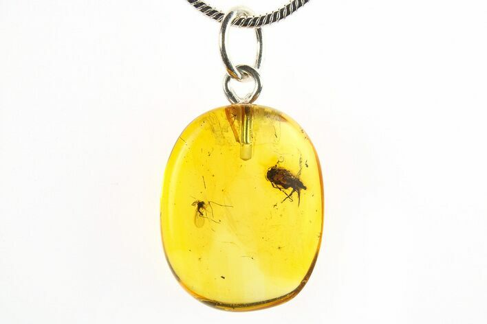 Polished Baltic Amber Pendant (Necklace) - Contains Beetle & Fly! #275825